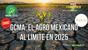 Entrevista 2025 con GRupo Consultor de mercados Agrícolas